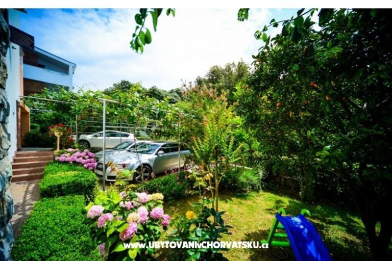 Villa IBIS – фото 3