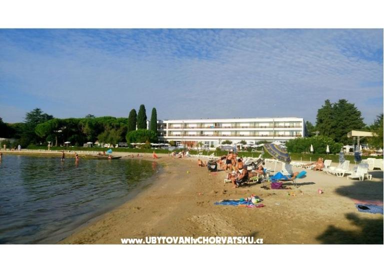 Villa Rosemarino – фото 15