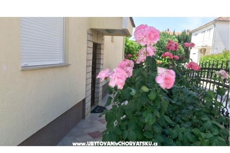 Villa Rosemarino – фото 5
