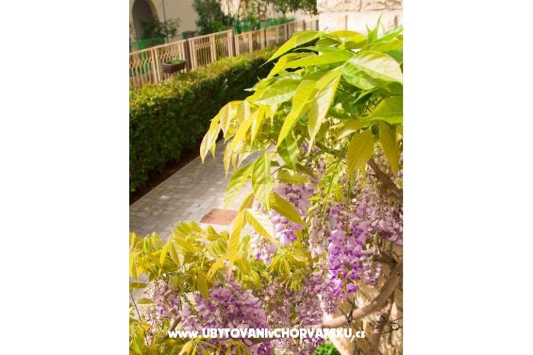 Villa Tereza – фото 11