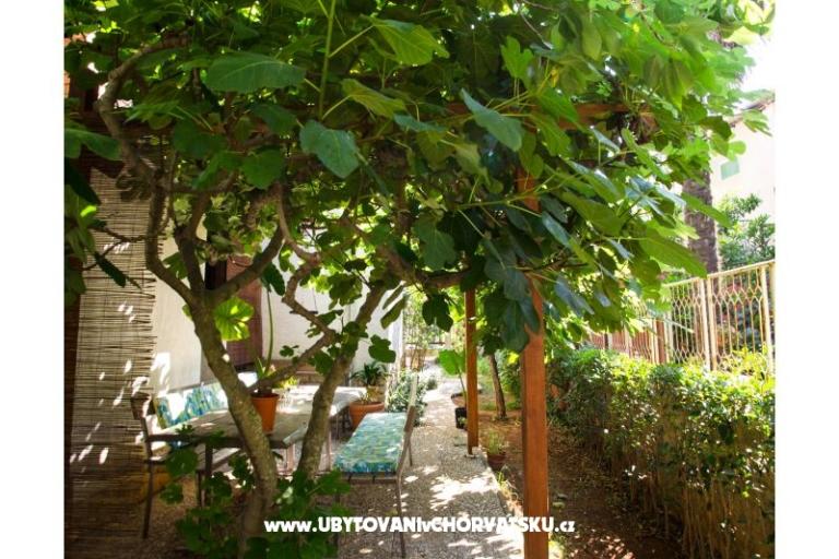 Villa Tereza – фото 18