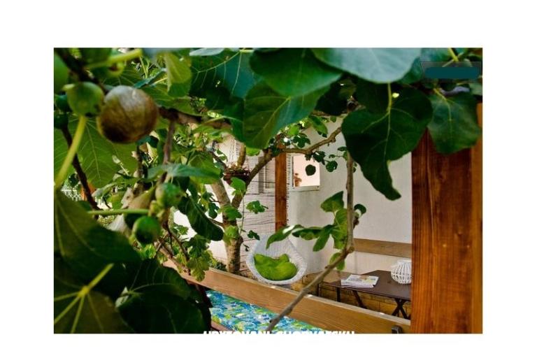 Villa Tereza – фото 8