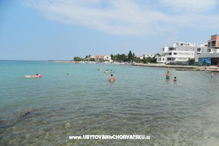 Vulić – фото 17