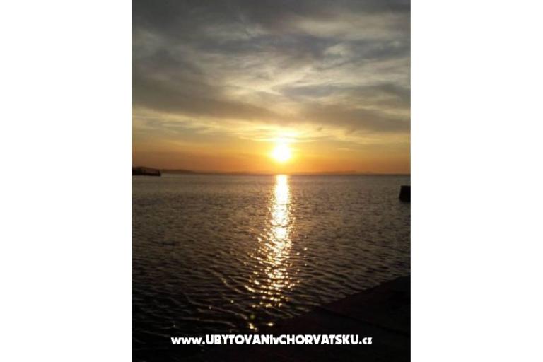 Vulić – фото 18