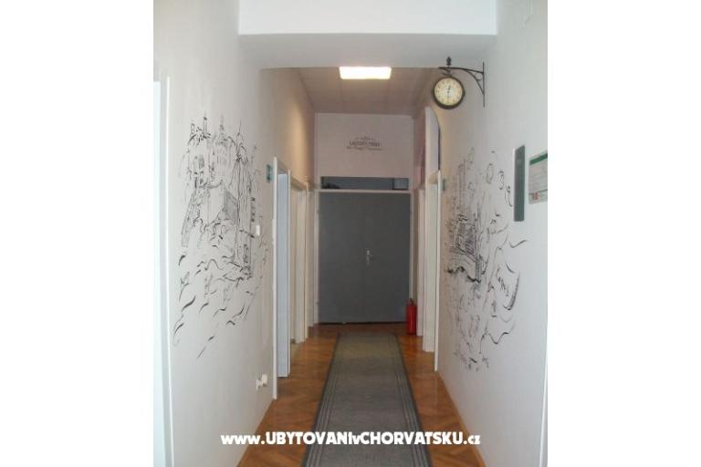 Chameleon hostel – фото 15