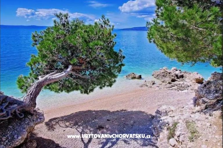 апартаменты Casablanca – фото 2