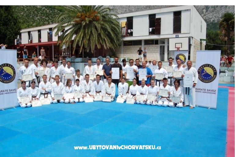Bossina Zaostrog – фото 13