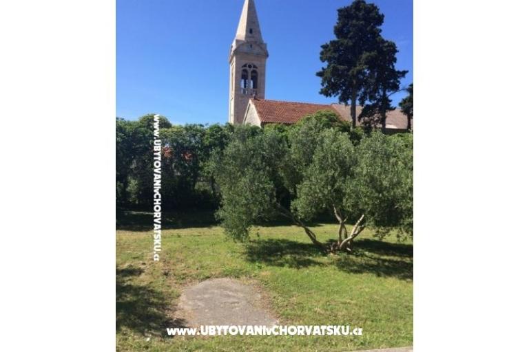 Bossina Zaostrog – фото 14