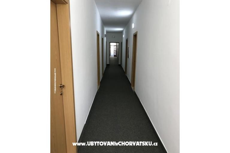 Bossina Zaostrog – фото 2