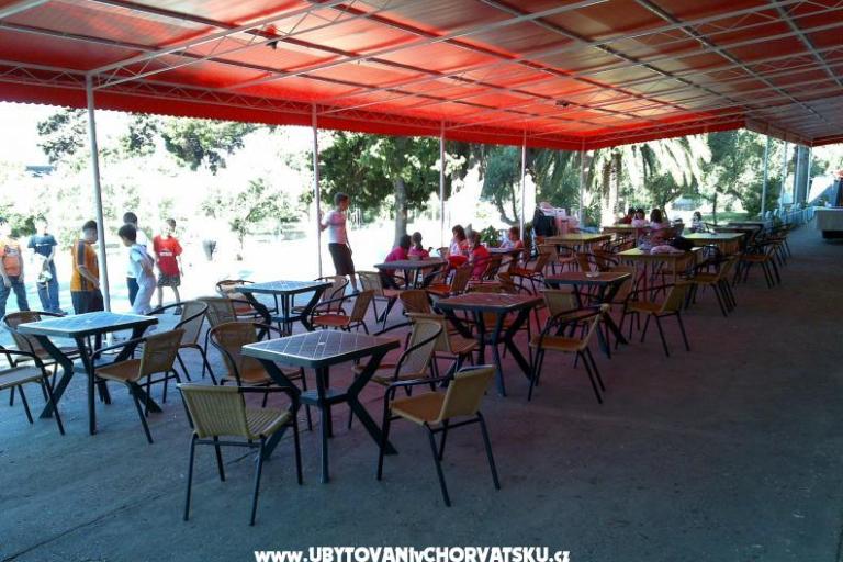 Bossina Zaostrog – фото 6