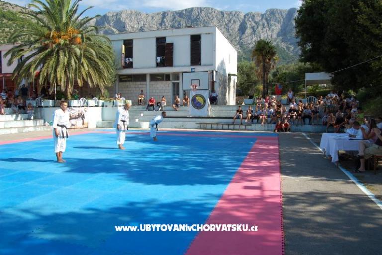 Bossina Zaostrog – фото 7