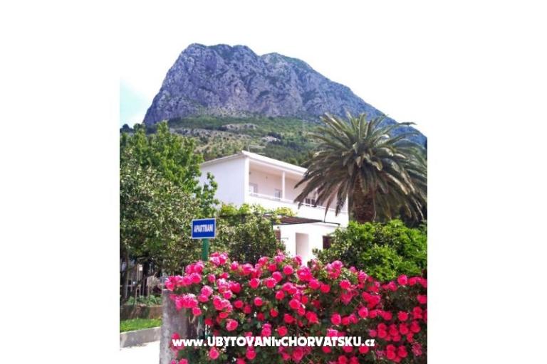 Love Zaostrog – фото 2