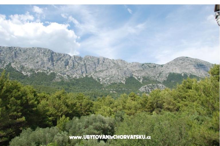 Villa Zaostrog – фото 16
