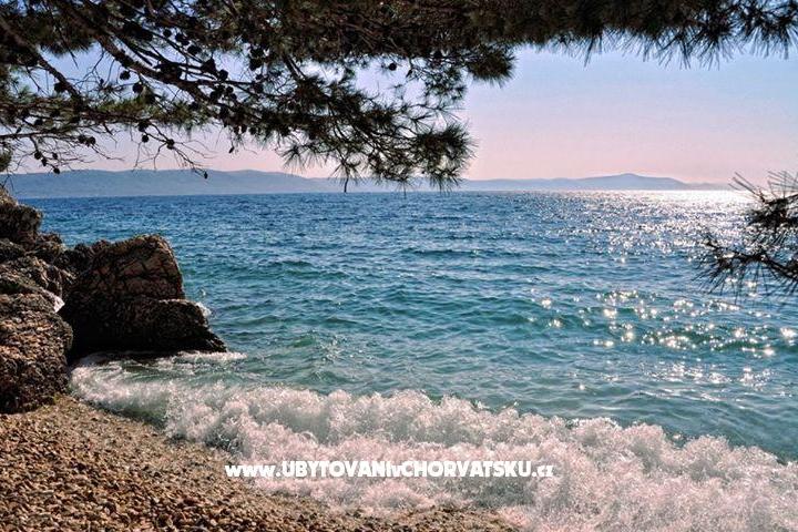апартаменты Žarko & Ana Klinac – фото 4